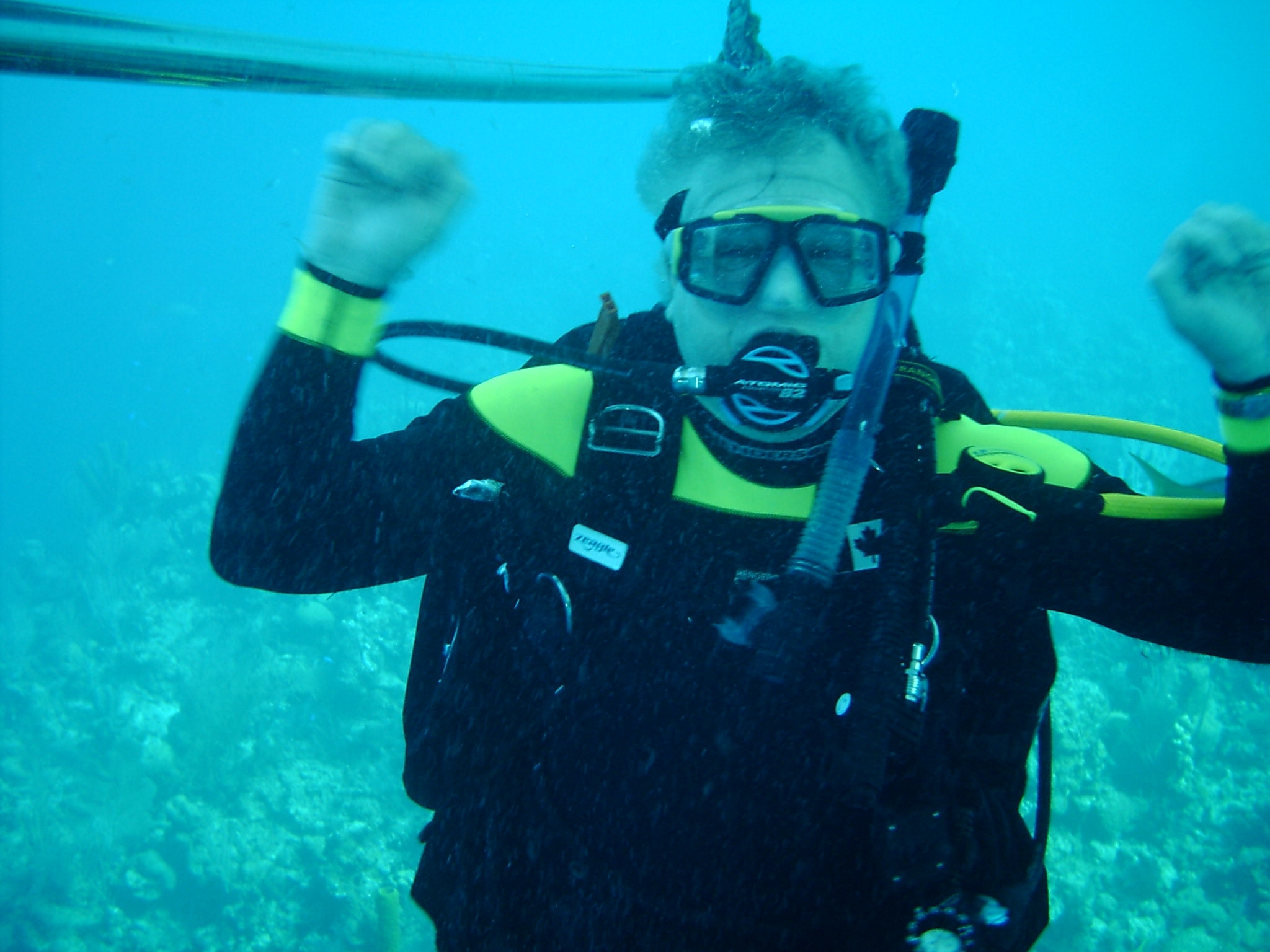 diver jumping into water