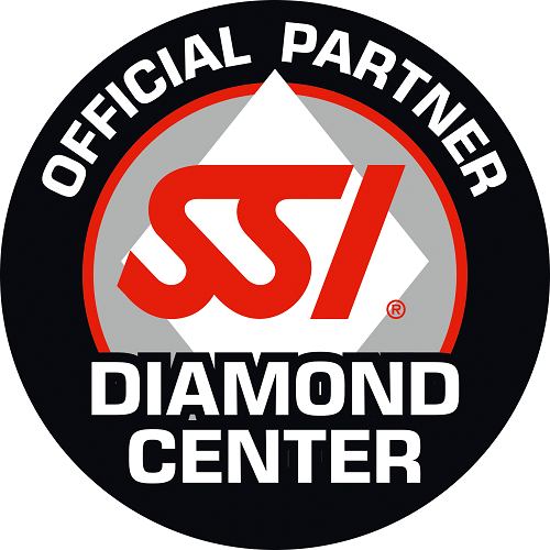 diamond instructor