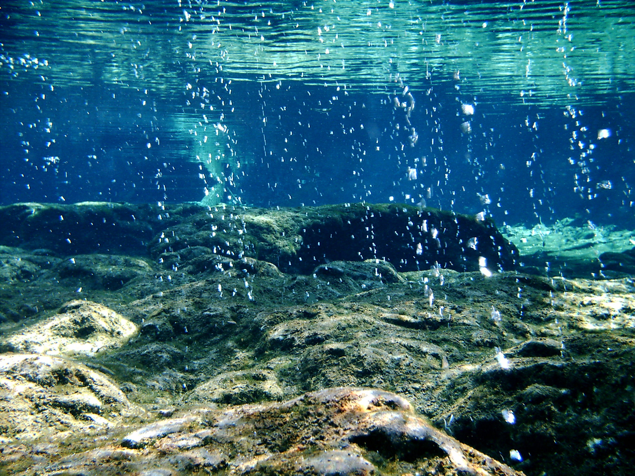 diver jumping into water