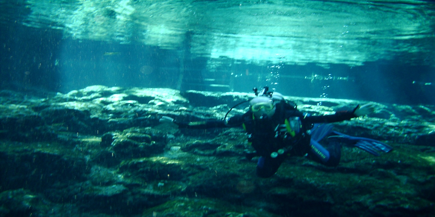 diver jumping into water