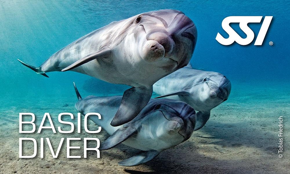 Basic diver ssi