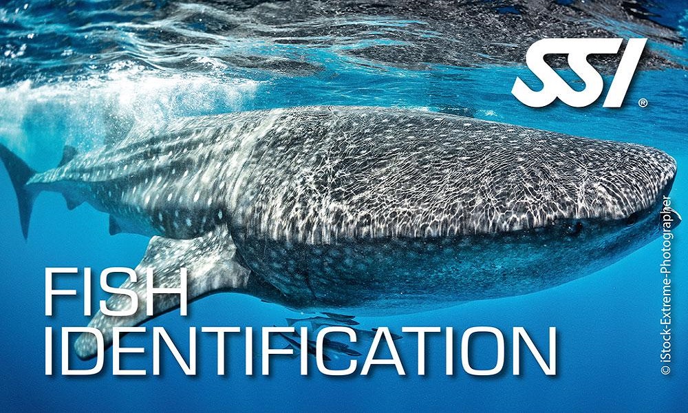 fish identification ssi