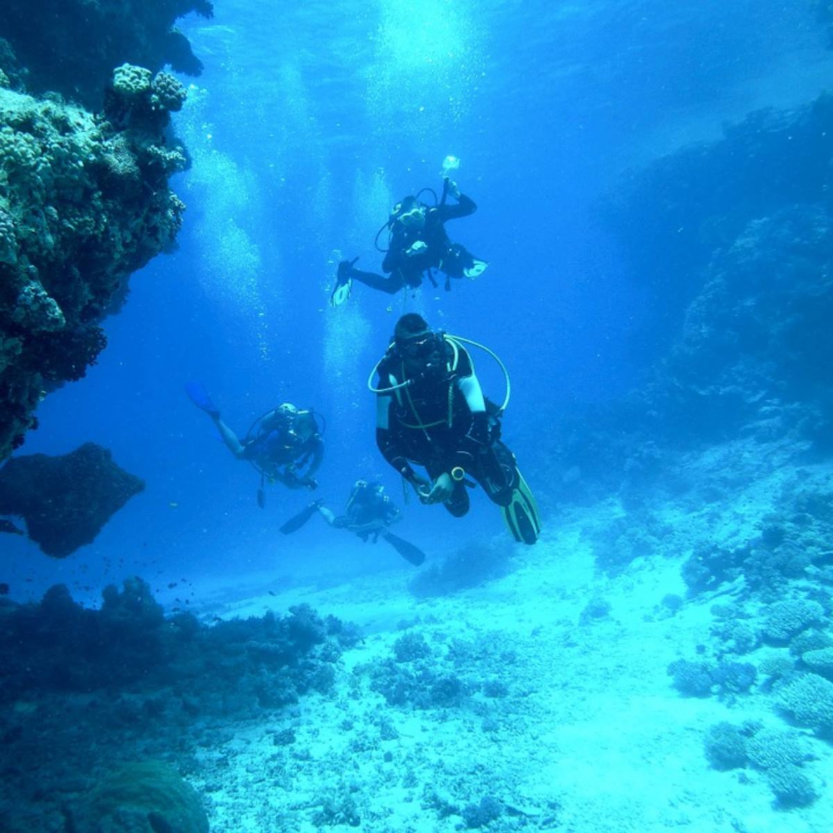group of divers