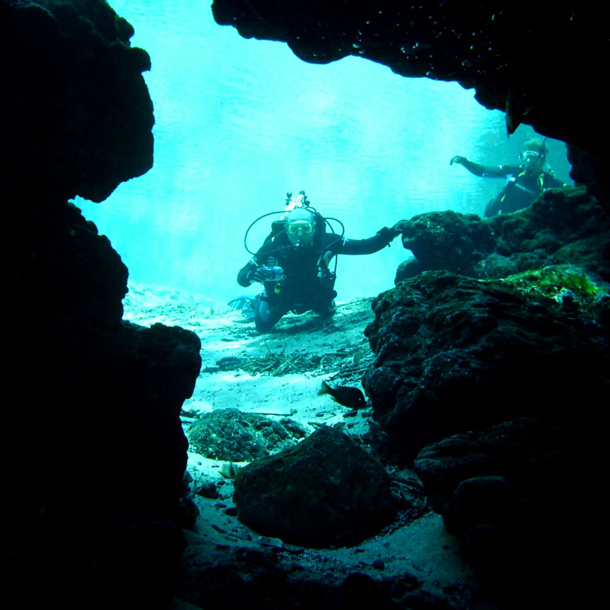 diving through tunnel