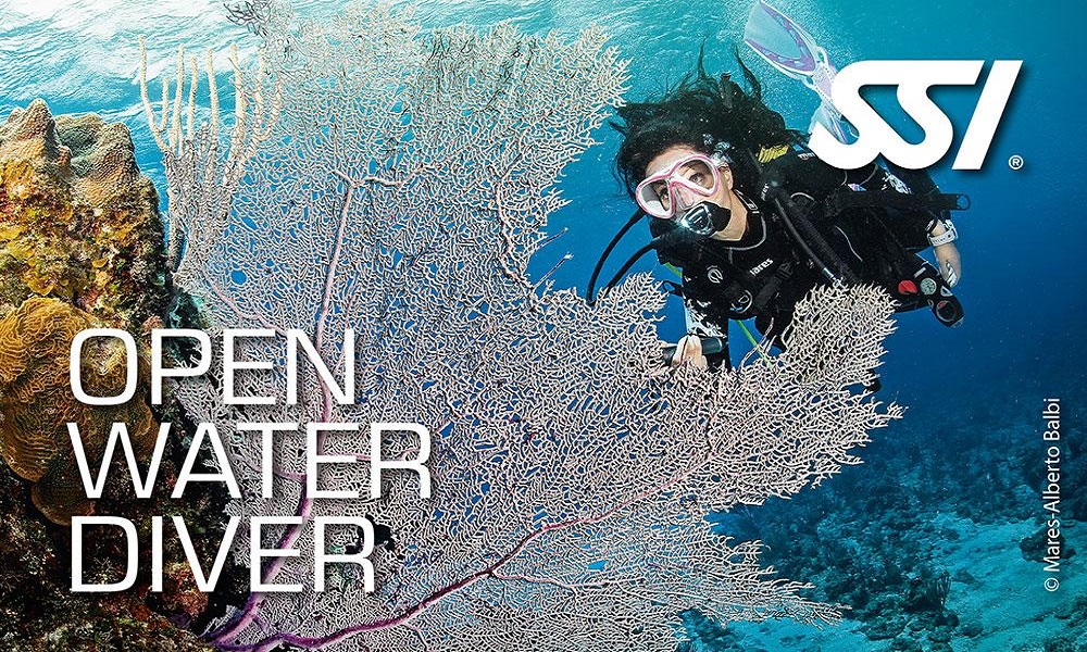 open water diver ssi