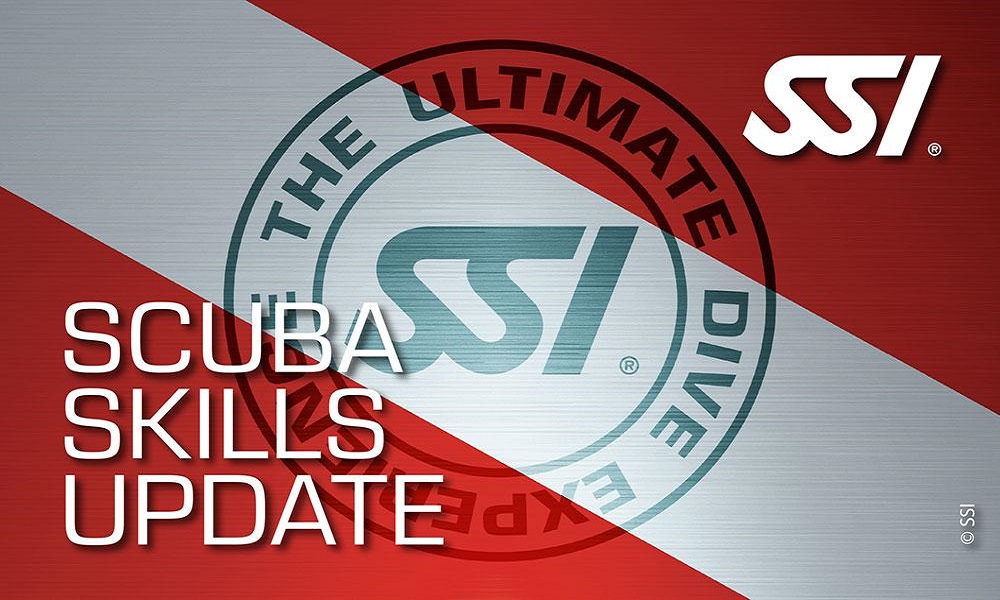 scuba skills update ssi