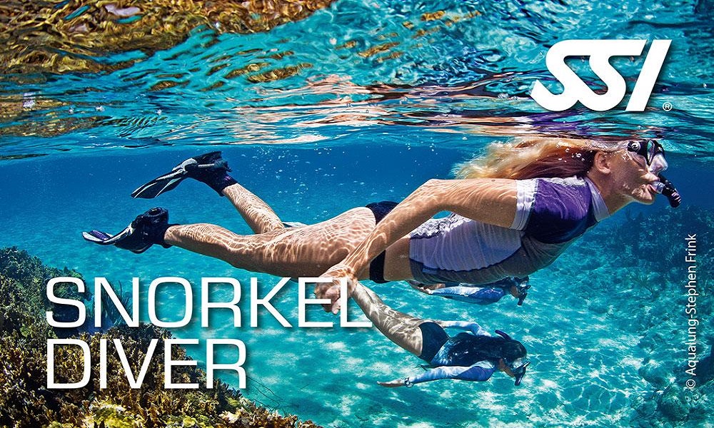 snorkel diver ssi