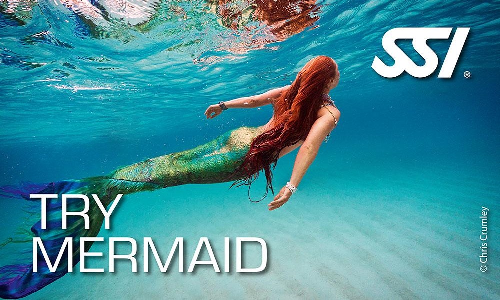 mermaid ssi