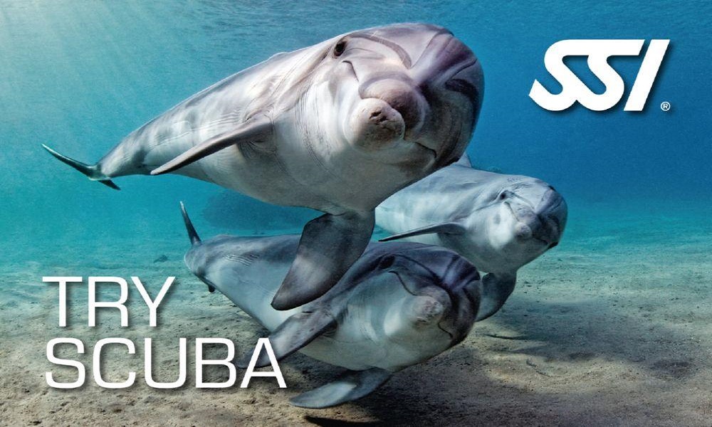 Try scuba ssi